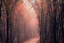 狗子28官网：郑智之后，39岁郜林也进国家队工作了，前广州队已有5人获提拔.