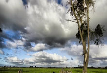 狗子28官网：伊泽斯经纪人：我们正在与国米接触，但也在跟其他俱乐部保持联系.