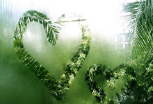 狗子28官网：郑智之后，39岁郜林也进国家队工作了，前广州队已有5人获提拔.