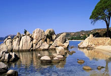 国足vs澳大利亚全场数据：国足射门数12-7占优，射正1-2.